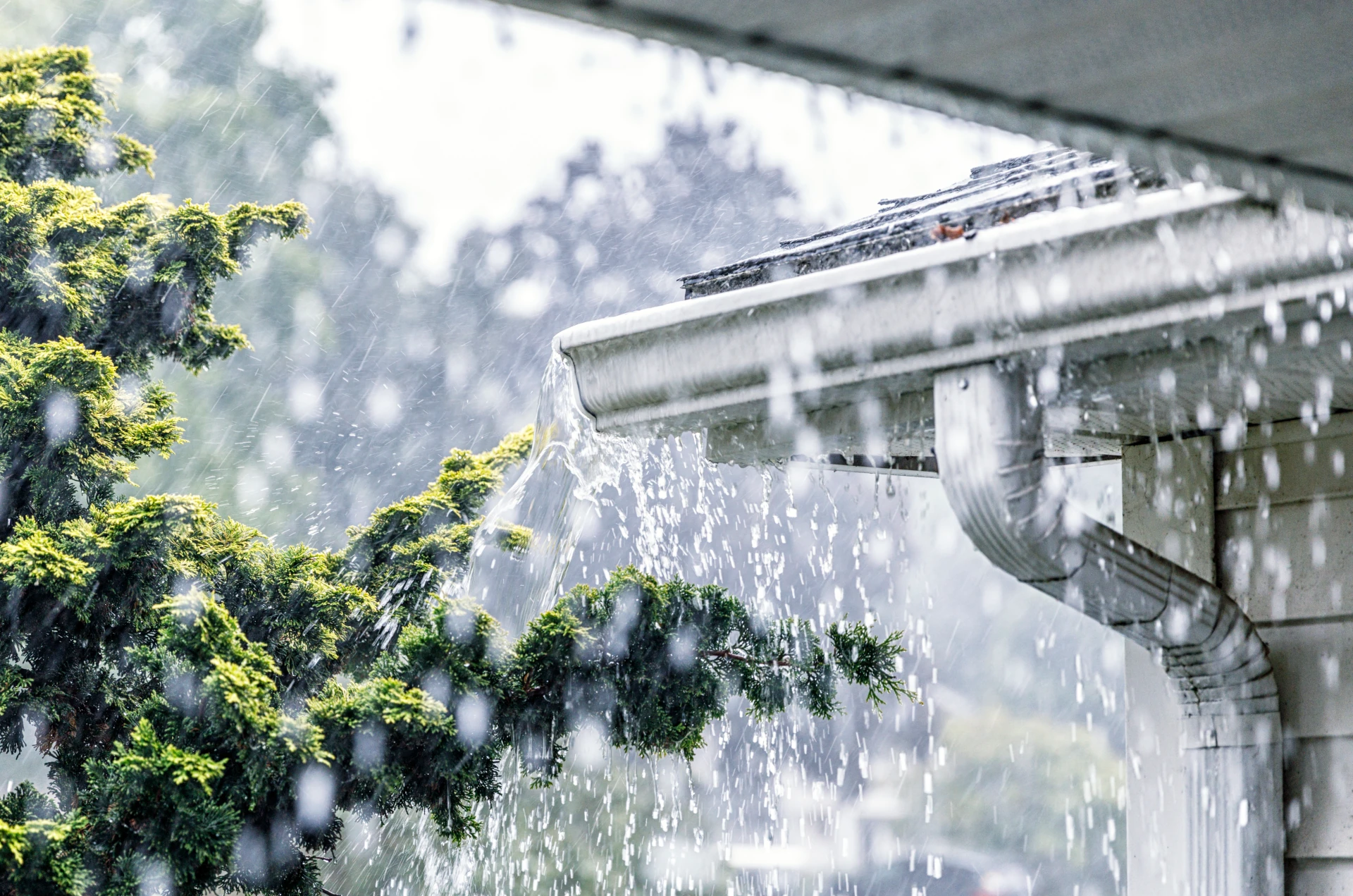 Regenwasser trifft auf ein Hausdach